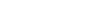 Vermaak Professional Services